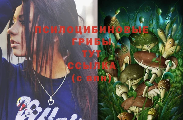 кокс Лабытнанги