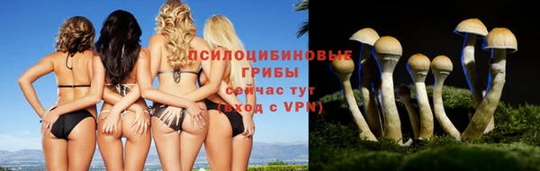 кокс Лабытнанги