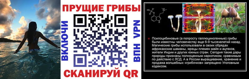Купить закладки  Екатеринбург  Галлюциногенные грибы Psilocybe